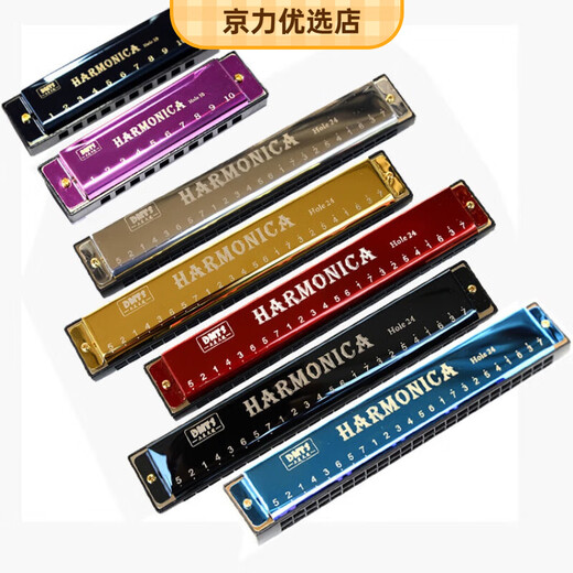 Swan (SWAN) 24-hole C harmonica children's instrument 10-hole blues beginner adult organ toys 118 24-hole fine titanium harmonica (silver)