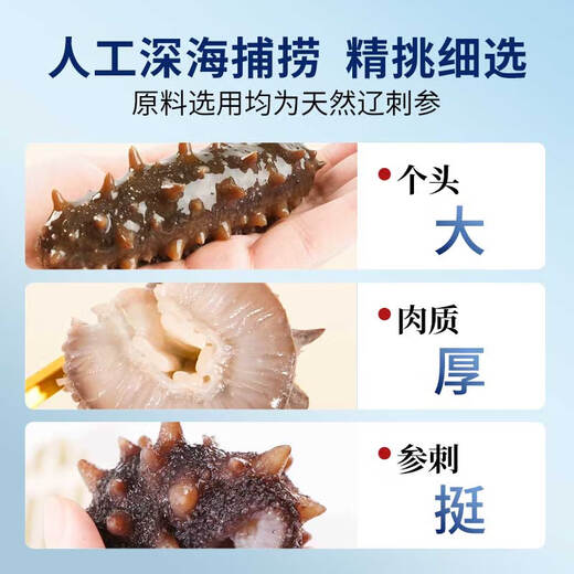 Xiaobing Sea Cucumber Fresh Ready-to-Eat Sea Cucumber Official Store Flagship Store New Year’s Gift Box Sea Cucumber Nutritious Gift for Elders 3Jin Jin equals 0.5kg (comes with ginseng and abalone juice) 7-9 pieces/Jin Jin equals 0.5kg