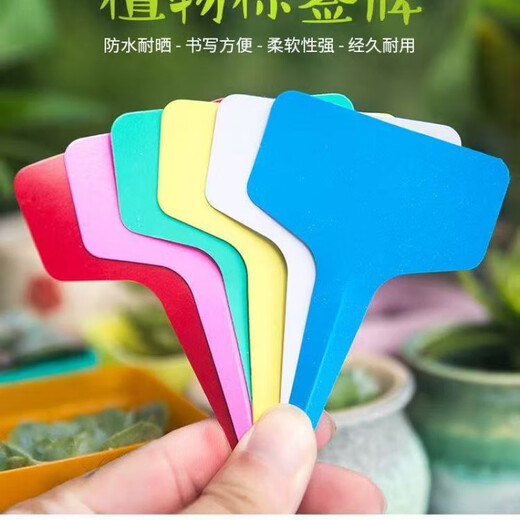Gardening label succulent label identification vegetable flower label plant name record bonsai plastic ground label green 20 pcs
