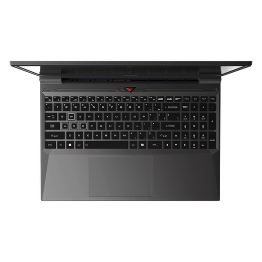 神舟（HASEE）【国家补贴20% RTX5060】战神S8 13代酷睿i7 15.6英寸游戏本笔记本电脑(i7-13620H 16G 1TB 165Hz)