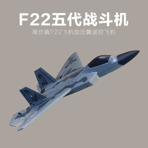 SHENX遥控飞机战斗机J35大型固定翼儿童航模男孩成人玩具耐撞隐形航模 F22-大号四通特技版BM22B无航拍