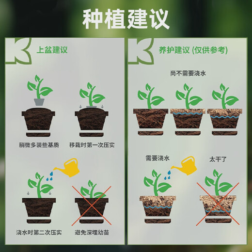 Peat soil K brand 6 German imported peat soil Pinshi peat orchid flowers and green plants potted general purpose 10Jin Jin is equal to 0.5 kg K brand 614 pure granular massive peat soil