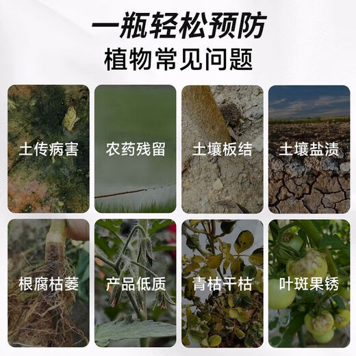 Удобрение Anxiaoran с микробными бактериями способствует прорастанию рассады, укреплению корней, предотвращает болезни, увеличивает урожайность, подлинные сельскохозяйственные угодья, выращиваемые из сахарного тростника и риса, 2 бутылки по 120 мл на акр.