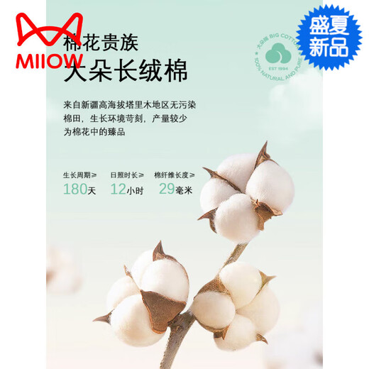 Cat Man (MiiOW) [Chinese Valentine's Gift] 2025 new pajamas for women in summer pure cotton short-sleeved sweet casual sports home clothing set Z9856 M [Recommended 80-100Jin [Jin equals 0.5 kg] wear]