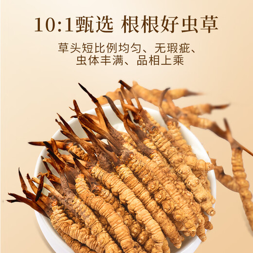 万草康仁冬虫夏草精选草藏区鲜干虫草滋补营养送母亲节礼物滋补品送长辈 3根/克 100g（礼盒装）送5g同款+藏红花*2