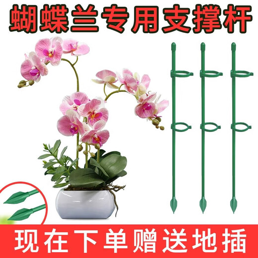Marco de trepadora de planta Tomate Pepino Phalaenopsis Polo fijo Marque de flores Marco de soporte de flores Polo de soporte anti-bucle [Mothenopsis Especial] Altura 90 cm [5 piezas]