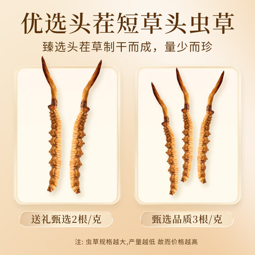 万草康仁冬虫夏草精选草藏区鲜干虫草滋补营养送母亲节礼物滋补品送长辈 3根/克 100g（礼盒装）送5g同款+藏红花*2