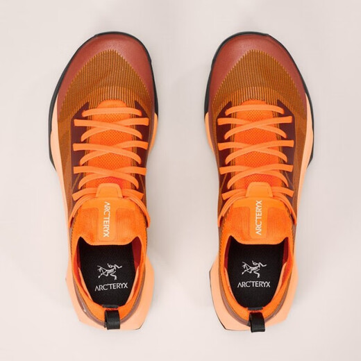 Archaeoptera Bird (Arc'teryx)/Arcteryx Speed ​​Women Speed ​​Outdoor Ligero de montaña Ligero Zapatillas X9716 Black_Polar Black_Acarctic_Silk US5 = 36