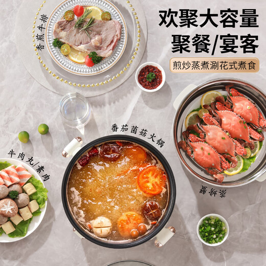 志高火锅专用锅电煮锅电火锅电热火锅宿舍学生锅电蒸锅家用多功能一体式煎炒蒸煮小电锅电炒锅小型 2L 【1人】20CM+1.5米电线