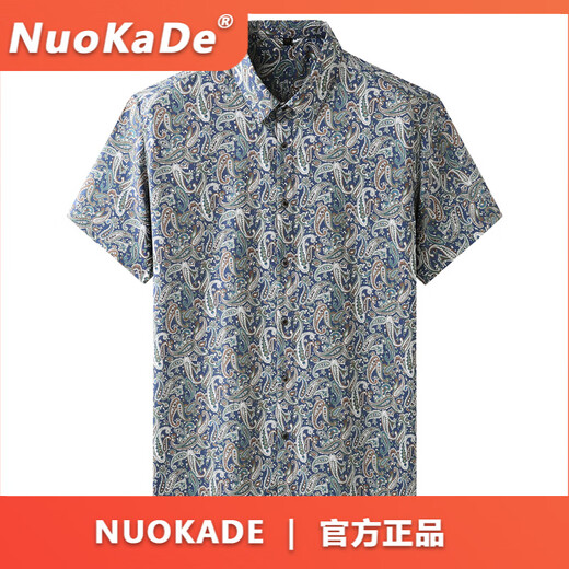 FDRENU欧美大码男装短袖衬衫男潮胖子休闲薄款冰丝花衬衣夏 9207白色 L 175_【120-140斤】