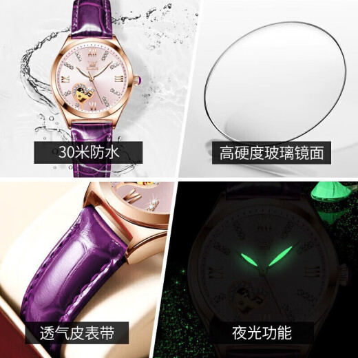 欧利时 （OLEVS）瑞士认证情侣手表一对全自动机械表镂空飞轮夜光防水男女对表 升级版3601全黑6636玫粉情侣款
