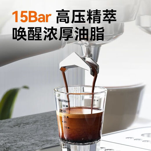雪特朗（STELANG）意式美式咖啡机浓缩家用简易小型半自动蒸汽打奶泡ST-695B 银色标配