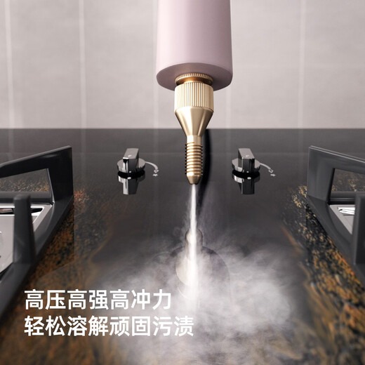 Shantou Lincun Household Steam Cleaning Machine New High Temperature and High Pressure Multifunctional Kitchen Air Conditioning Fabric Steam Cleaning All-in-One Opal Powder - Handle Button + Panel CNC Dual Control