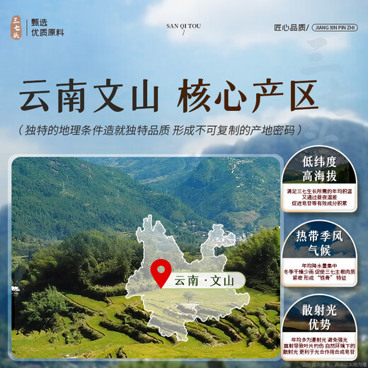 南同九坊南京同仁堂 20头带帽三七头云南文山三七头田七二十头中材滋药补