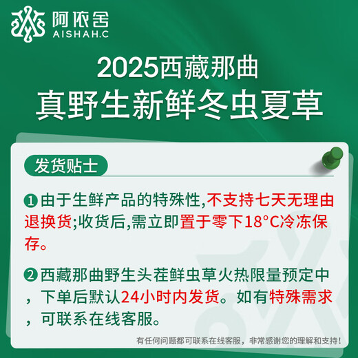 La première courge d'Ayishe Tibet de cordyceps fraîches sauvages sinensis à Nagqu, Tibet en 2025, transportés par l'air et des coffrets cadeaux pour les produits nutritionnels pour les aînés. Herbe fraîche sauvage 1,2 g / racine 30