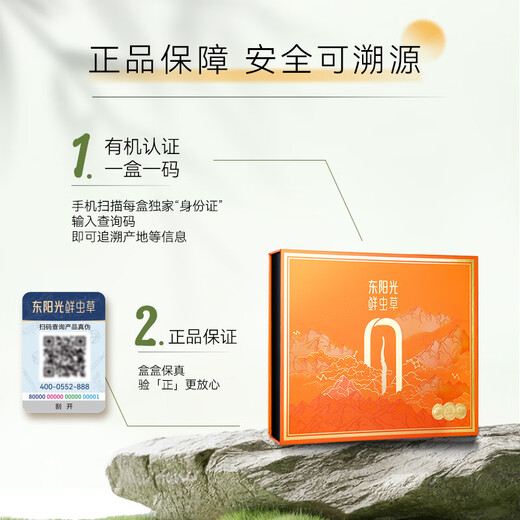 Dongyangguang Cordyceps sinensis 3-4 Wurzeln/G11g etwa 38 Wurzeln Tonic Gift Box Cordyceps Nahrungsergänzungsmittel für Älteste