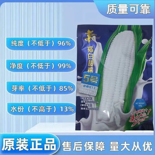 Zhengbai Tiannuo No. 5 corn seeds from the genuine Yingbai sweet glutinous corn seeds from north to south 1 bag Zheng Bai Tiannuo No. 5