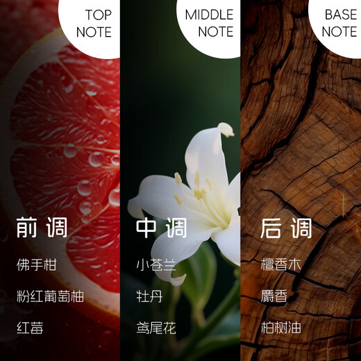 FEELING 05 Volumizing Elastic Curl Cream Elastin Styling No-Rinse Hydrating Long-Lasting Gel Anti-frizz Hair Cream Volumizing Elastic Curl Cream 80ML