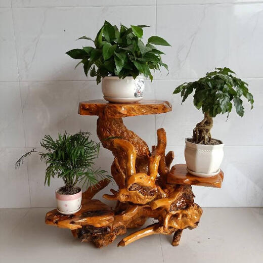 Wurzel geschnitzte Ständer Baumwurzel natürliche Ornament Massivholz Block Wohnzimmer Mehrschicht Bonsai Fischtank Basis Grün Ivy Balkon Sonderangebot H6636 Ein Bild One Sache
