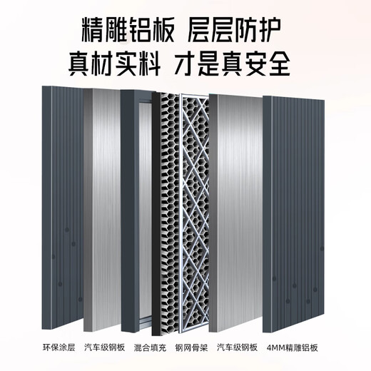 WL王力4级新款铸铝门防盗门甲级防夹手家用入户门进户门智能子母门单门大门A200 指静脉人脸带屏锁（P60Max） 单门2050*1050&2150*950