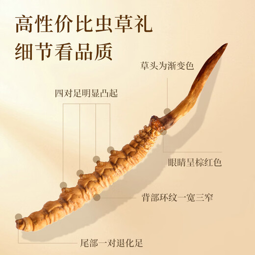 万草康仁冬虫夏草精选草藏区鲜干虫草滋补营养送母亲节礼物滋补品送长辈 3根/克 100g（礼盒装）送5g同款+藏红花*2