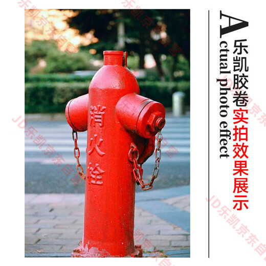 Lucky Film Color Film 135 Film Color Negative C200 36 sheets/roll Camera Film (Free Development)