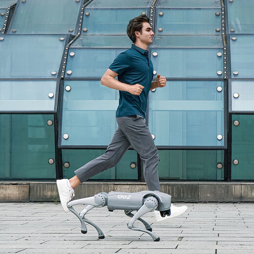 Yushu (Unitree) Voice AI Model Robot Dog Go2 Elektronischer Hund Verkörperte Intelligenz Begleitung Bionischer Begleiter Roboter Vierbeiniger Roboter Hund Go2-pro+ Fernbedienung