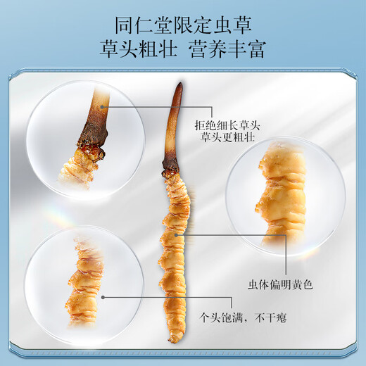 同仁堂品牌 北京同仁堂 鲜虫草冬虫夏草新鲜虫草礼盒无断草送礼送长辈 1盒 24g 3A鲜虫草30根 0.8-1克/条