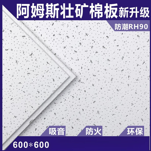 矿棉板600*600吊顶阿姆斯壮吸音矿棉板可耐福雅丽毛毛虫装饰天花 595*595*14平板 w1591