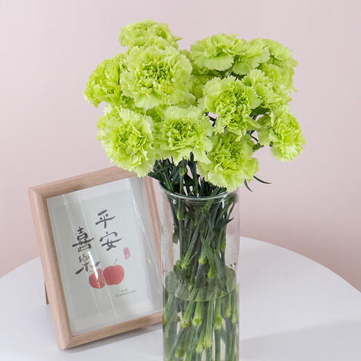 Carnation flowers holiday gift water-grown flowers for mom Yunnan flower base straight hair 10 random color carnations