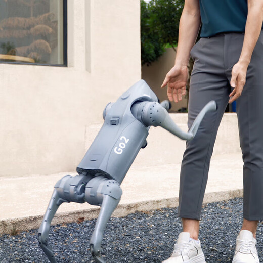 Yushu (Unitree) Voice AI Model Robot Dog Go2 Elektronischer Hund Verkörperte Intelligenz Begleitung Bionischer Begleiter Roboter Vierbeiniger Roboter Hund Go2-pro+ Fernbedienung