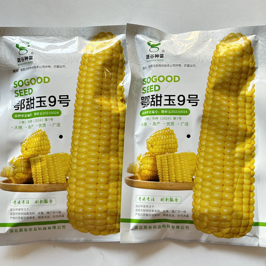 National Approval Corn Seed Sweet Waxy Corn Seed Hybrid Corn White Corn National Approval Corn Seed E Tianyu No. 9 Corn Seed Original 100g