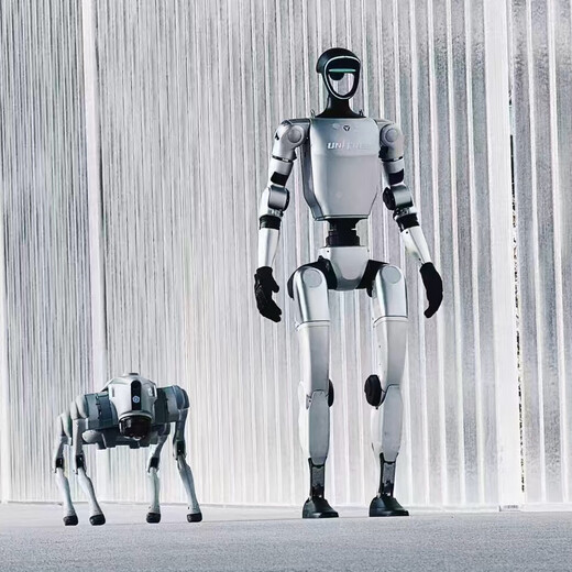 Yushu Intelligent Humanoid Double Foot G1 Robot interprète la marche et la danse du festival de printemps même robot de danse chien bienvenue robot robot robot pendant 1 jour