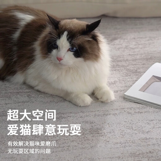 Budis carpet living room light luxury high-end sofa coffee table large size waterproof anti-slip no-wash and wipeable 2025 new floor mat