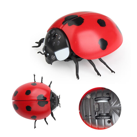 Original direct supply, novel and unique remote control electric insect toys, electric snail and mouse prank, 9922 ladybug, 130G, weight 0.28kg