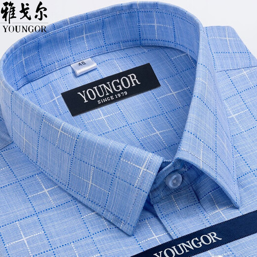 雅戈尔衬衫男短袖夏季2025薄款中年男装寸衫职业休闲衬衣 短袖DX6629 短袖DX6629 38 建议70-95斤