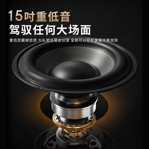 Sony Ericsson (soaiy) 15-inch square dance audio wooden high-power portable outdoor heavy bass Bluetooth karaoke special high-volume mobile trolley speaker outdoor performance dual microphone SA-1509