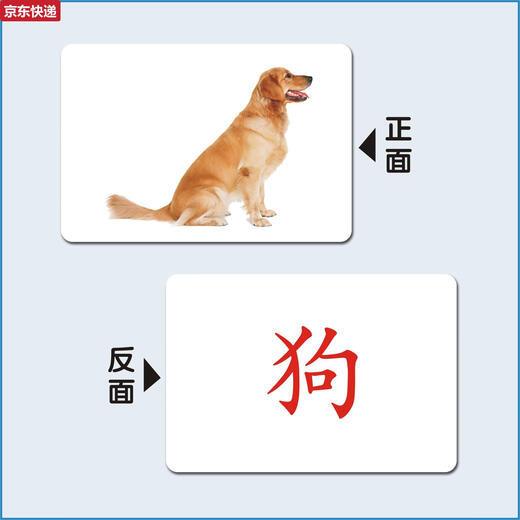 奇立彩宝宝早教玩具教具杜曼百科动物闪卡右全脑课潜能开发认知卡片 48张动物卡