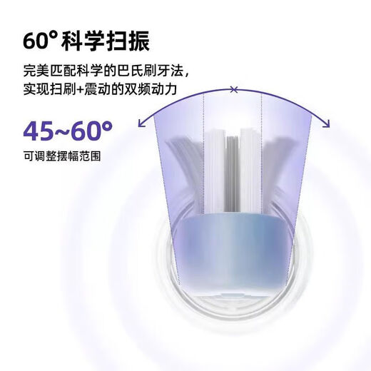 Konka Purple Light Sweeping and Vibrating Integrated Electric Toothbrush Maglev Motor Sterile Warehouse for Household Gifts for Men and Women Sweeping Vibrating Frosted Style + 2 Antibacterial Brush Heads + Purple Light Warehouse