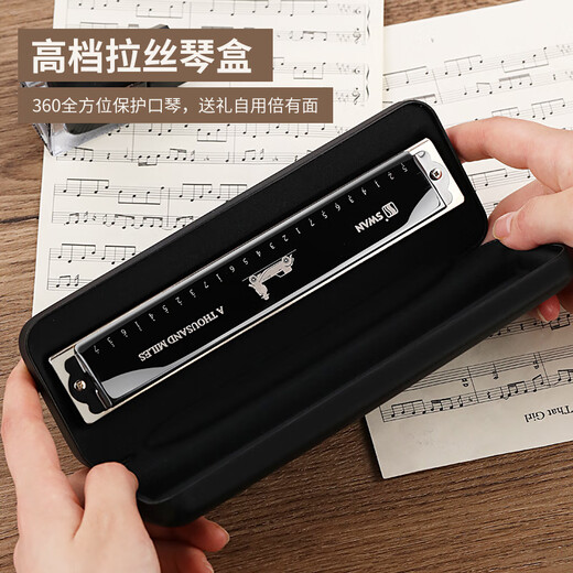 Swan (Swan) Harmonica Performance professionnelle pour les adultes 24 trous 28 trous polyphoniques c