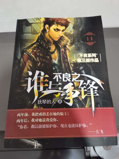 不良之谁与争锋未删减完结版武侠小说全集抚琴的人全套11册 第四册 539-724章