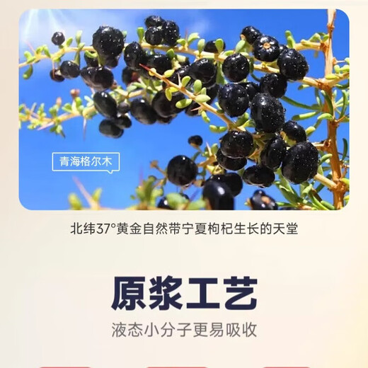 Shaofutang Black wolfberry pulp is rich in raw anthocyanin and health gift box (explosive activity) Black wolfberry pulp is 1 box