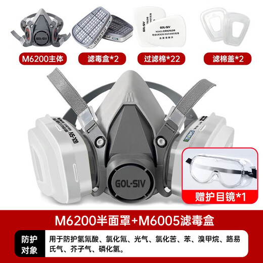 胜丽 M6200防毒面具口罩 防无机气体/氯化氢/氢氰酸 印刷厂印花厂 M6005配22片滤棉