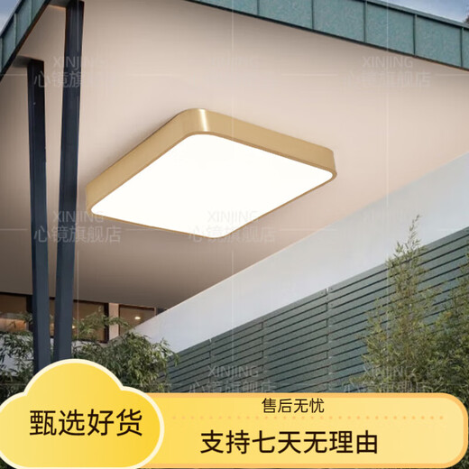 溥覃全铜户外吸顶灯别墅超薄入户门灯走廊过道阳台灯露台防蚊虫庭院灯 X3893-300/方形