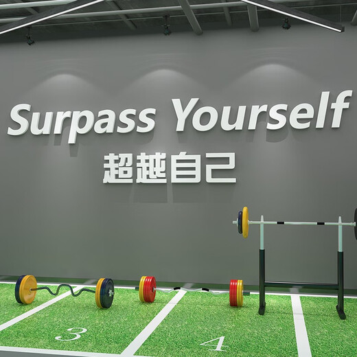 网红打卡健身房墙面装饰运动文化励志标语海报氛围布置形象墙贴画 17152自己-白色 2mm亚克力 中