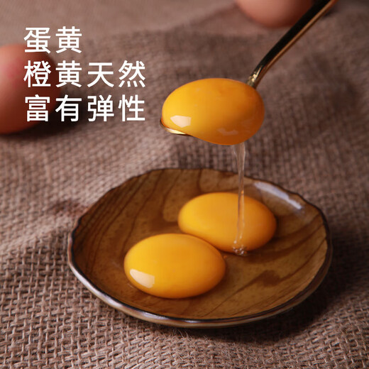 Antibiotic-free Deqingyuan Grade A fresh eggs 15 pieces 750g Antibiotic-free Deqingyuan Grade A fresh eggs 15 pieces 750g
