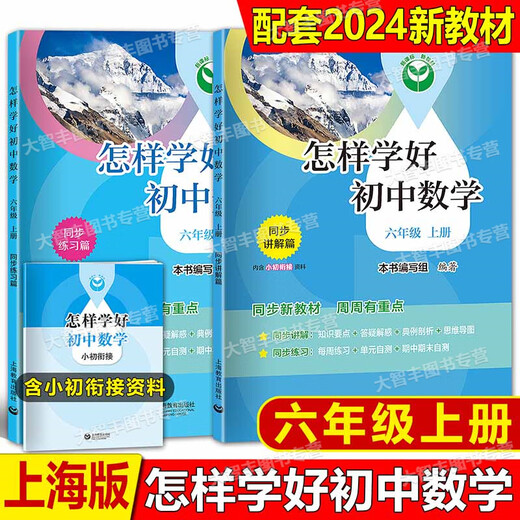 2025初中英语精练与拓展怎样学好初中数学课堂笔记六年级上下册七八上下新教材初一同步678家默本单元测试卷阅读 初中英语单元同步测试卷（培优版） 六年级下