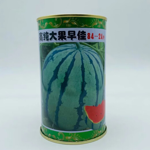 Thin-skinned rock sugar watermelon seeds Xinjiang Tianshan Zaojia 8424 watermelon seeds early maturing large fruit super sweet Qi selected 8424 original 50g