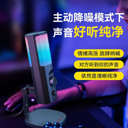 Taidu TSP205 Desktop Microphone Computer Anchor Live Microphone Special Noise Reduction Conference Recording Voice E-Sports Game USB Condenser Microphone Desktop Laptop Karaoke Online Class USB Version TSP205 Computer Special + Monitoring Headset