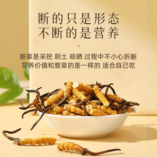 任十问野生冬虫夏草 西藏那曲断虫草甄选品质自用实惠家人滋补 高端送礼 【野生】甄选大断草 20克【家庭养补】